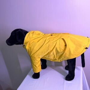 This Stylish Striped Yellow Rain Jacket Keeps Your Pet Warm & Dry!